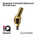 5 Anatomic Cosmetic Abutments 25º Dental Implants