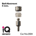 2 Ball Titanium Abutments for Dental Implants Impl