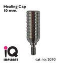 10 Healing Abutments for Dental Implants Implant P