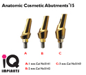 Anatomic Cosmetic Abutment 15º