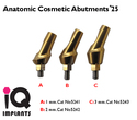 Anatomic Cosmetic Abutment 25º