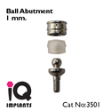 Special Offer : 10 Ball Abutments