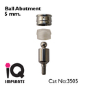 Special Offer : 10 Ball Abutments