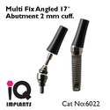 Angled Multi Fix Abutment 17º 2mm cuff