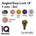 Angled Easy Lock Abutment 18º  - SET