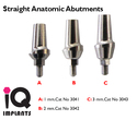 Straight Anatomic Abutment 2mm Cuff