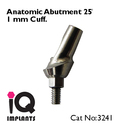 Special Offer : 5 Angled Anatomic Abutments 25º