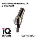 Angled Anatomic Abutment 25º