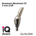 Angled Anatomic Abutment 25º