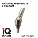 Special Offer : 5 Angled Anatomic Abutments 25º