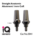 Straight Anatomic Abutment