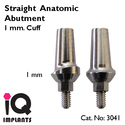 Straight Anatomic Abutment 1mm Cuff