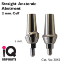 Straight Anatomic Abutment 2mm Cuff