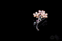 Optimus Beauty Platinum Plated 925 Sterling Silver
