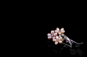 Optimus Beauty Platinum Plated 925 Sterling Silver