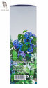 La Florista紫色拿铁沐浴露