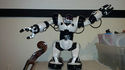 Robot Robosapien 8081 With Remote And Manual Good 