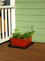 UrBin Grower kit 1 unit self-watering container w/