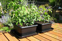 UrBin Grower (2 set) Self-Watering Planter, Vegeta