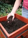 Coconut Coir 5kg Block Growing medium, soil amendm