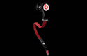 To add this item in your Shopping Cart drag and drop this picture there