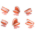 1.7"" Chatter Teeth Case Pack 48