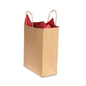 Premium Small Brown Paper Shopping Bag 50/Box