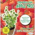 Apple Case Pack 12