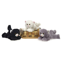 9" 3 Assorted Floppy Bean Bag Cats Case Pack 24