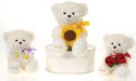 9" Cream Color Sitting Bear Case Pack 24