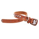 To add this item in your Shopping Cart drag and drop this picture there