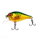To add this item in your Shopping Cart drag and drop this picture there