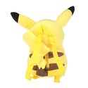 To add this item in your Shopping Cart drag and drop this picture there