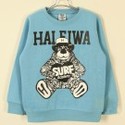 To add this item in your Shopping Cart drag and drop this picture there
