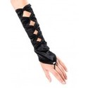 To add this item in your Shopping Cart drag and drop this picture there