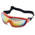 To add this item in your Shopping Cart drag and drop this picture there