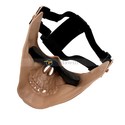 To add this item in your Shopping Cart drag and drop this picture there