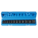 3/8""DR 12PC 12PT SAE