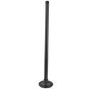 To add this item in your Shopping Cart drag and drop this picture there
