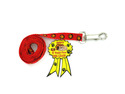 To add this item in your Shopping Cart drag and drop this picture there