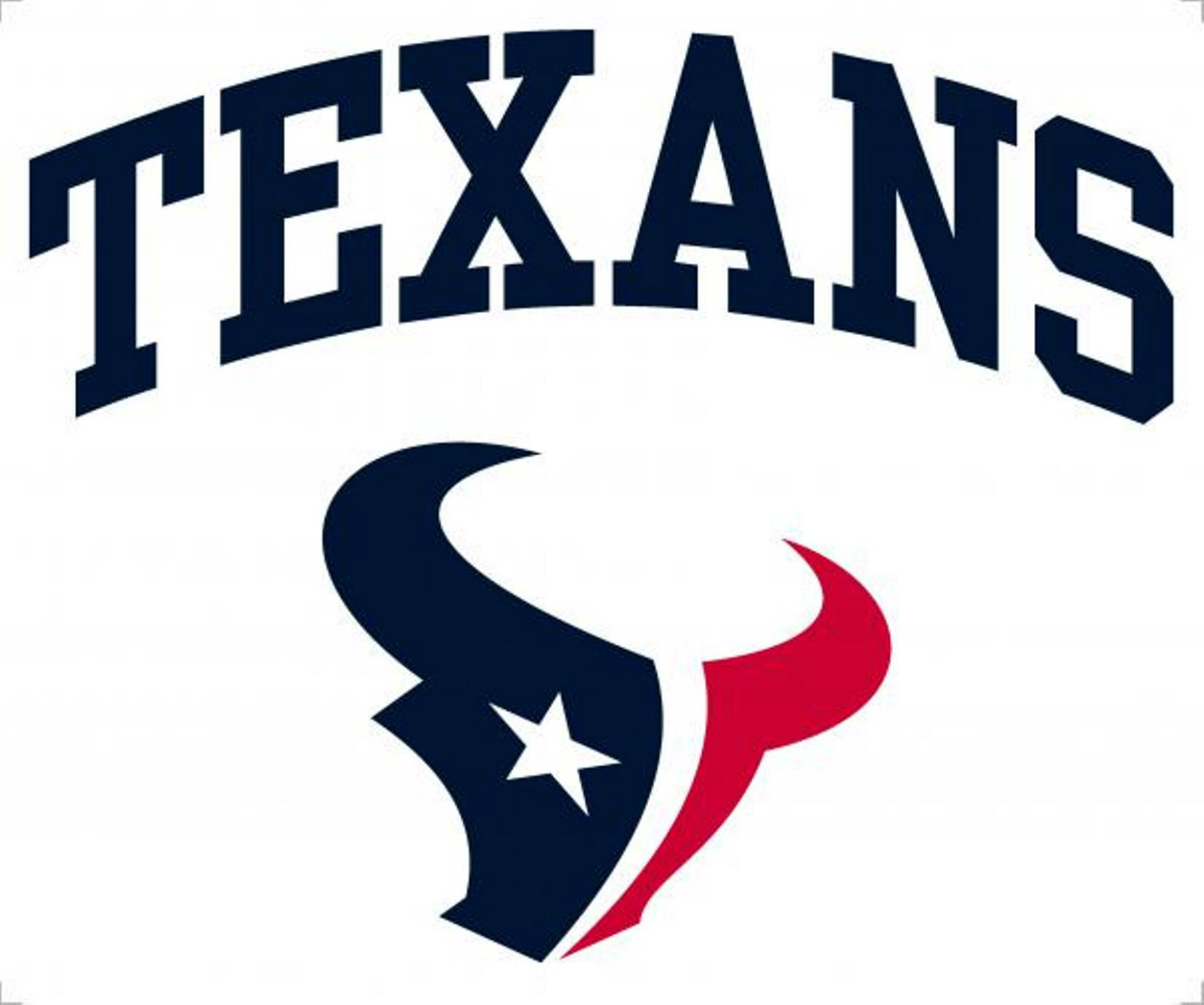 Houston Texans 12