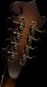 Washburn M117SWK Vintage Mandolin 2 Point Double C
