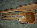 Washburn Vintage Series R320SWRK Acoustic Guitar -