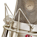 Neumann TLM 49 Condenser Studio Microphone TLM49