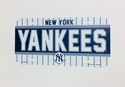 New York Yankees Plastic License Plate NEW!! Free 