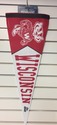 Wisconsin Badgers Retro Logo Premium Pennant Felt 