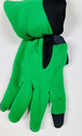 Boston Celtics Texting Gloves NEW One Size Fits Mo