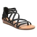 To add this item in your Shopping Cart drag and drop this picture there