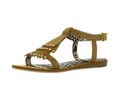 To add this item in your Shopping Cart drag and drop this picture there