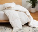 Brooklinen Down Comforter Queen Duvet Insert, Ligh